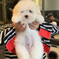 Max - Coton de Tulear (White)