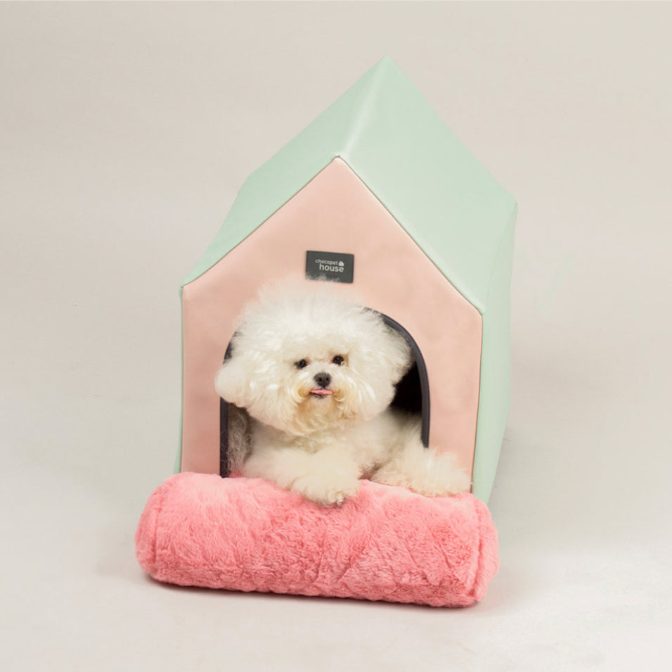 Chocopet House Tent Bed