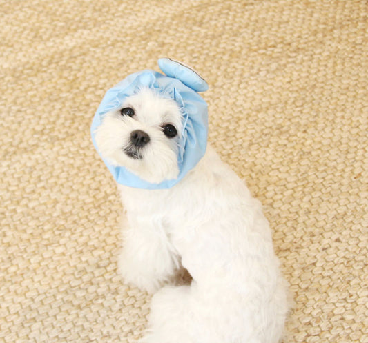 ODD Waterproof Hairband