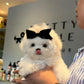 Rupert - Maltese (White)