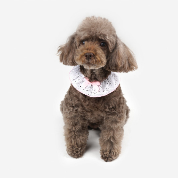 Parisdog Lace Scarf