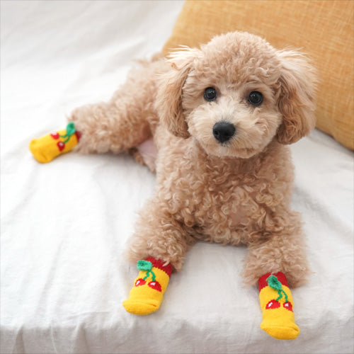 Parisdog Leaf Fruit Socks