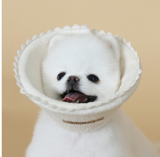 Chocopet House Organic Neck Cone