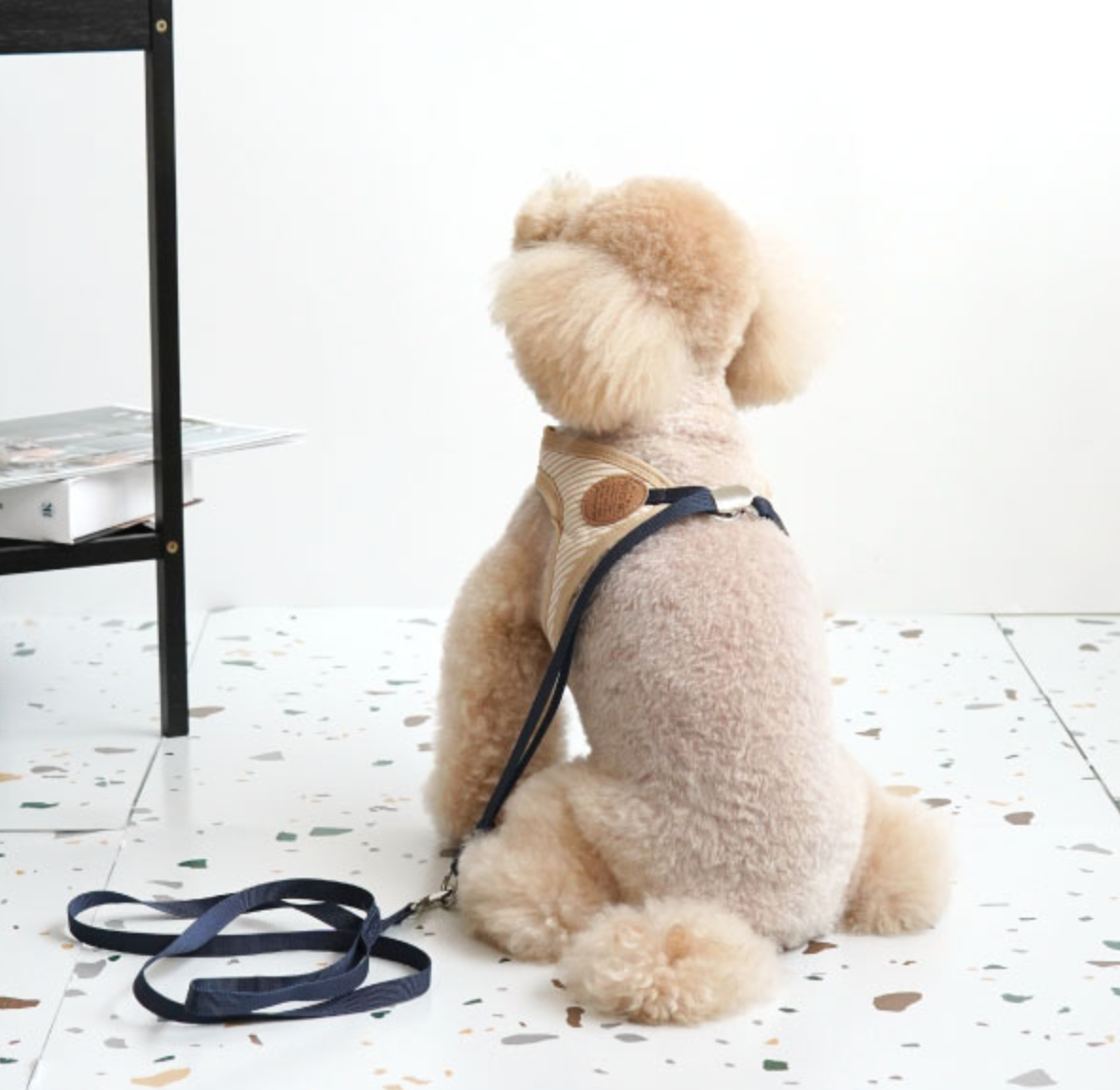 Paris Dog Striped Harness