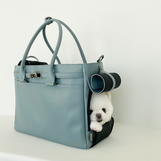 Meloni Leather Bag (Blue)