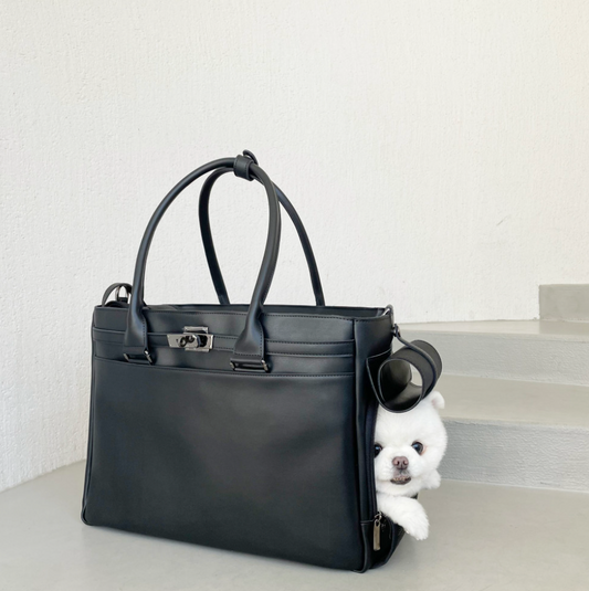 Meloni Leather Bag (Black)