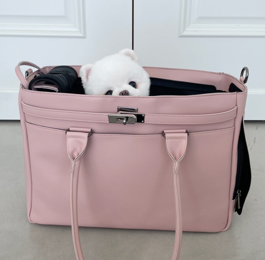 Meloni Leather Bag (Pink)