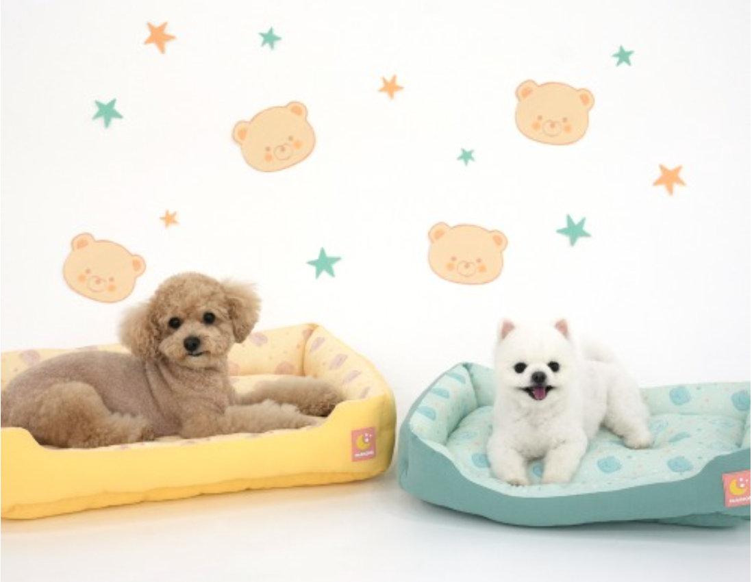 Paris Dog Bear Cool Reversible Bed