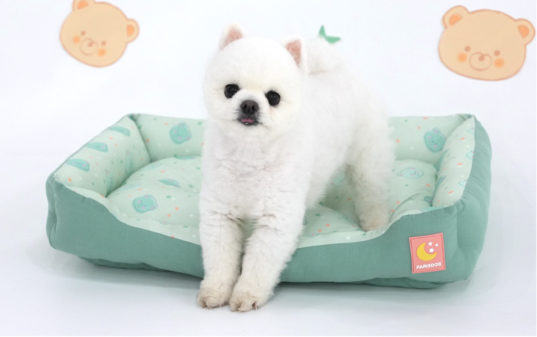 Paris Dog Bear Cool Reversible Bed