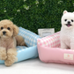 Paris Dog Daisy Cool Reversible Bed