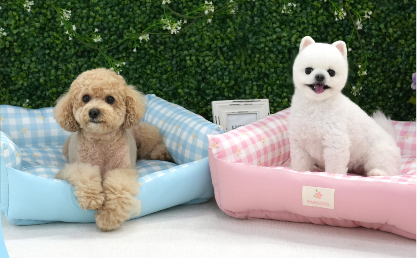 Paris Dog Daisy Cool Reversible Bed