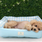 Paris Dog Daisy Cool Reversible Bed