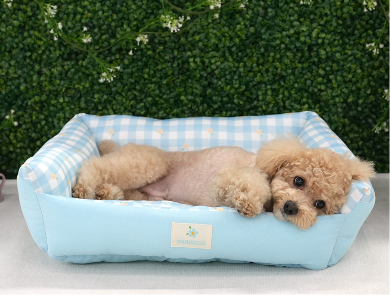 Paris Dog Daisy Cool Reversible Bed