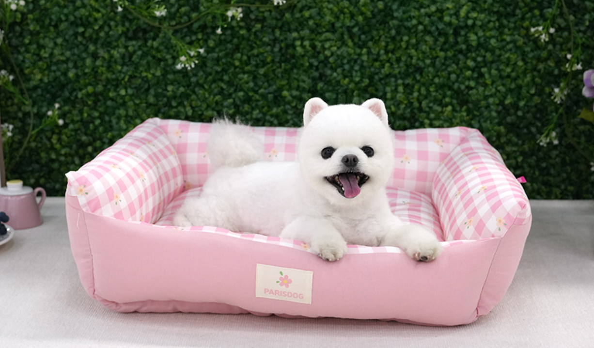 Paris Dog Daisy Cool Reversible Bed