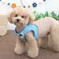 ParisDog Good Friend Harness