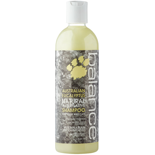 Balance Australian Eucalyptus Shampoo