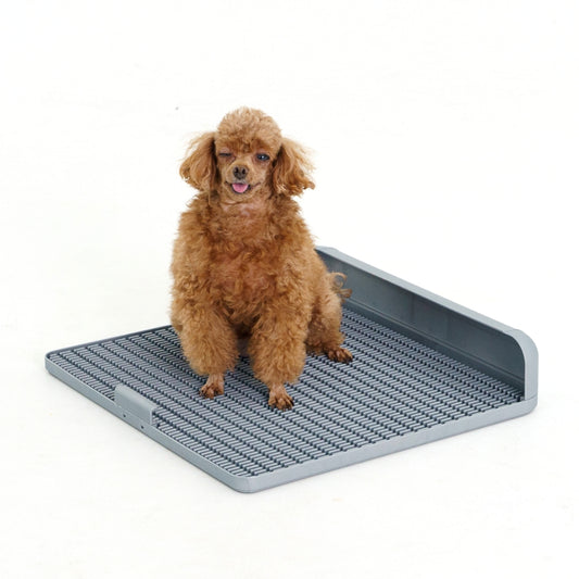 Dogtoc Potty Training Toilet Tray