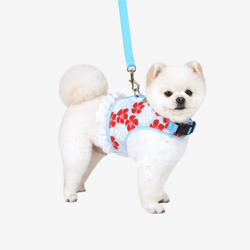 Paris Dog Tropical Summer Harness & Leash Set