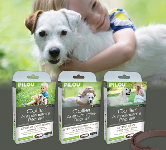Pilou Dog 3-Month Flea & Tick Repellant Collar