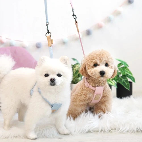 ParisDog Pastel Cotton Harness