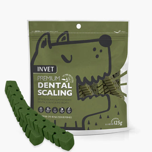 INVET Dental & Bad Breath Care Sticks (Green Tea)