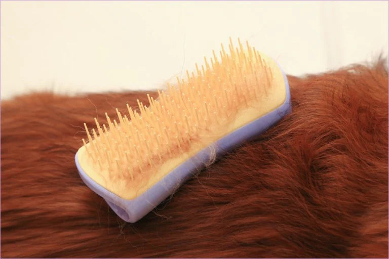 PET TEEZER Detangling Grooming Brush