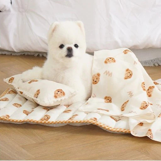 Teddy Bear Blanket & Pillow Set